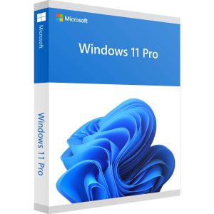 Windows_11_Pro_600x600@2x.jpg